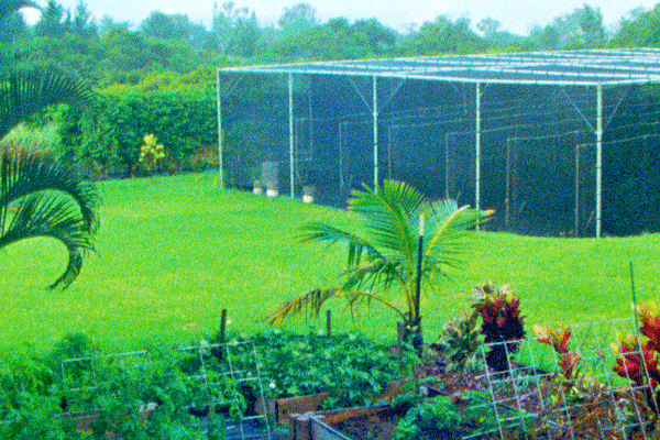 Maui Vanilla Farm Tour 4