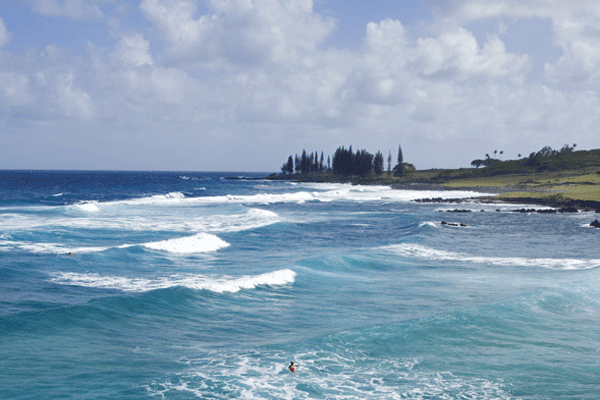 Aloha Sunshine Maui Hana Adventure 5