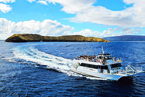 Pride of Maui Molokini and Turtle Snorkel Cruise 3