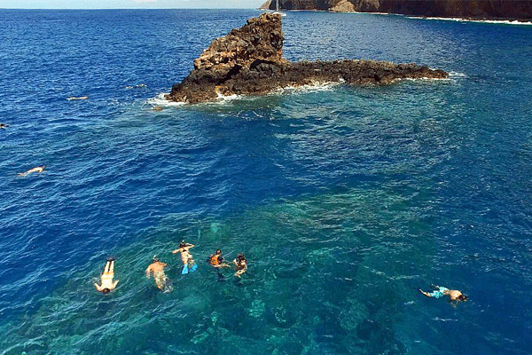 Lanai Snorkel & Dolphin Adventure by Ultimate Whale Watch (4Hrs) 2