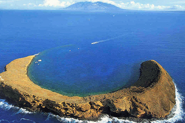 Blue Water Rafting Maui Snorkel Tours: Explore Molokini Crater & Turtle Town 2