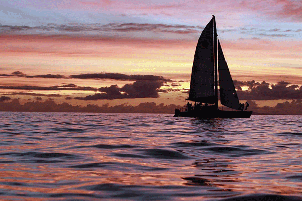 Alihilani Lahaina Sunset Sailing by Sail Maui (2.5-Hrs) 5
