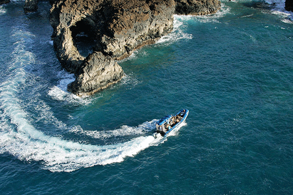 Kihei-Wailea Blue Water Rafting Whale Watch (1.5 Hours) 5