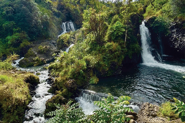 Cruisin’ Maui Small Group Road To Hana Adventure (Max 8 Pax) 2