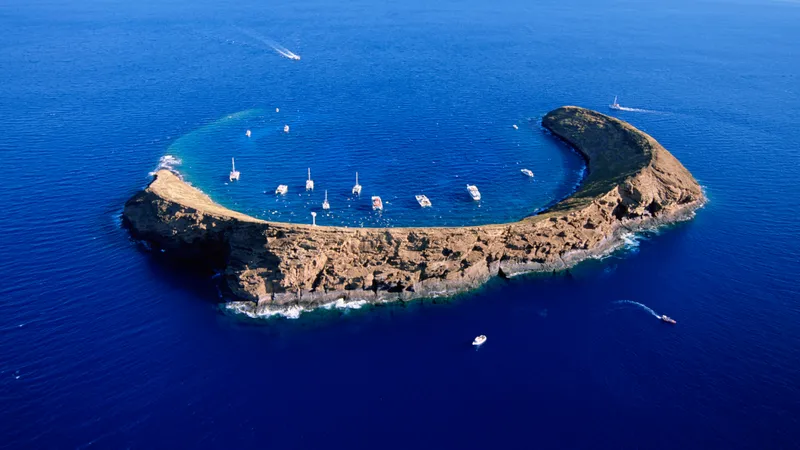 Why Snorkeling at Molokini Should Be on Your Bucket List