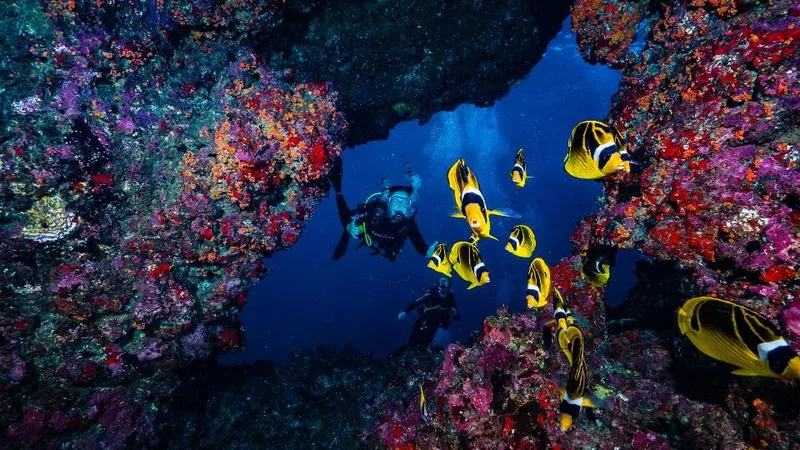 Scuba Diving