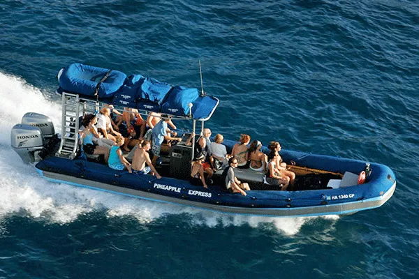 Blue Water Rafting Molokini Express 2-Hour Adventure