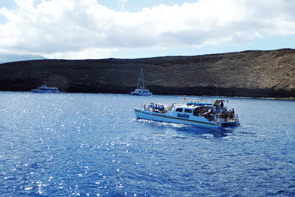 Malolo Maalaea Sunset Cruise 3