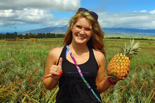 Maui Pineapple Farm Tour