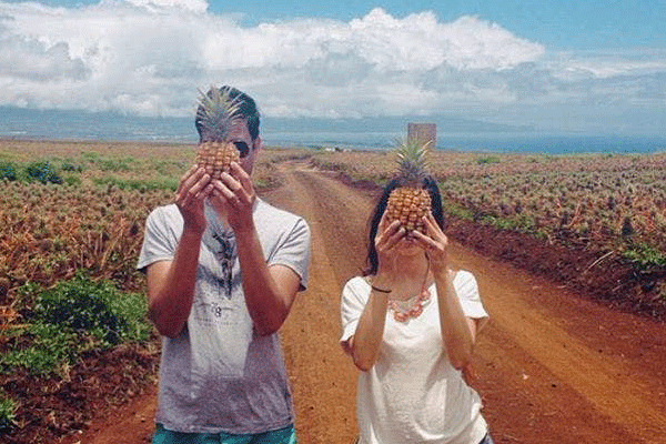 Maui Pineapple Farm Tour 4