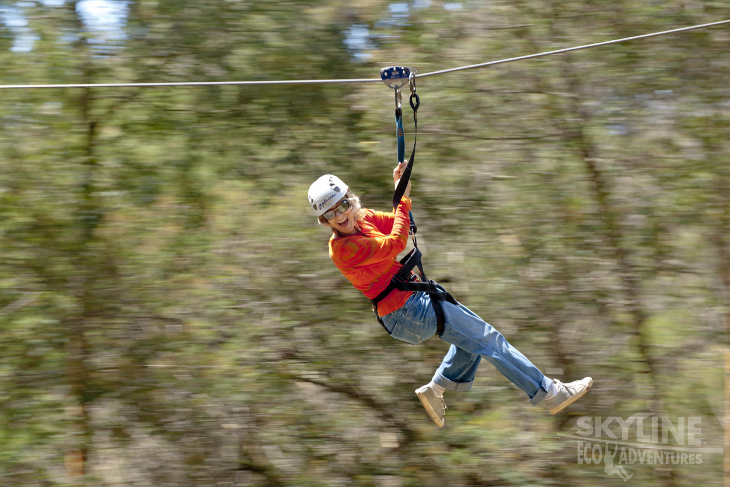 Skyline Haleakala 6-Line Zipline Adventure 4