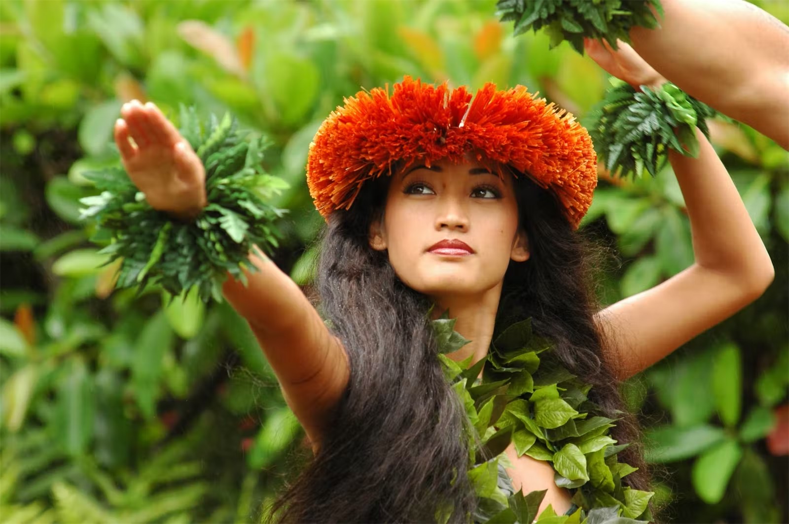 Andaz Maui Feast At Mokapu Holiday Luau Premium Seating 5