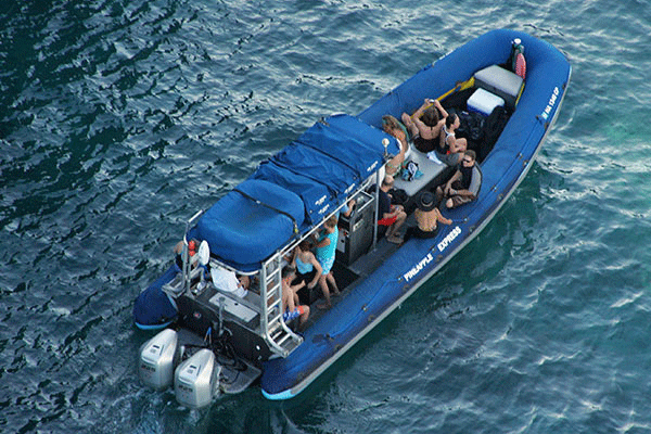 Blue Water Rafting Maui Snorkel Tours: Explore Molokini Crater & Turtle Town 5