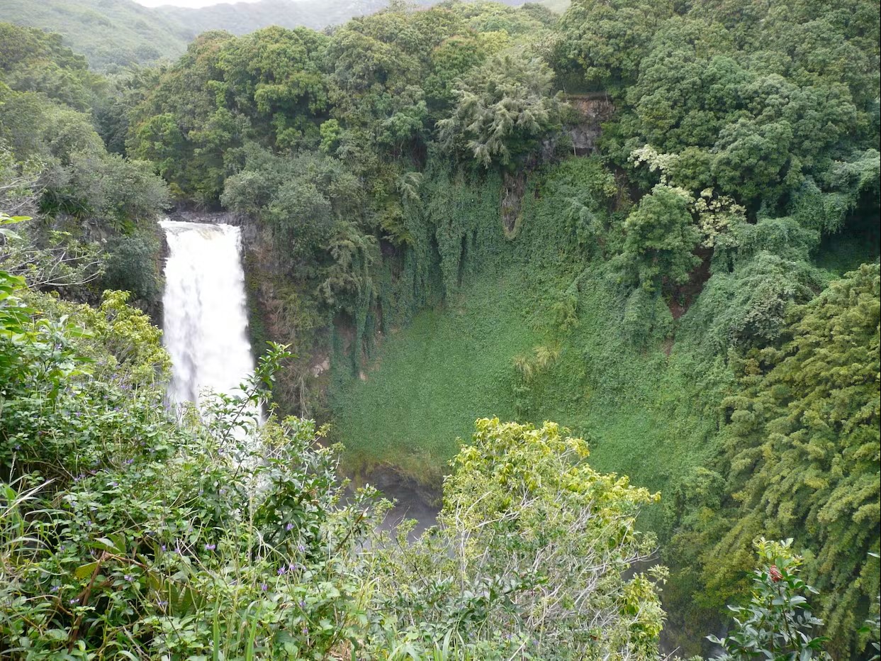 Ultimate Hana Full-Day Hiking Adventure by Hike Maui 5