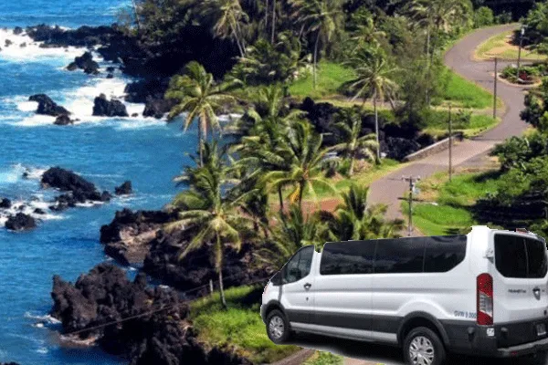 Cruisin’ Maui Small Group Road To Hana Adventure (Max 8 Pax)