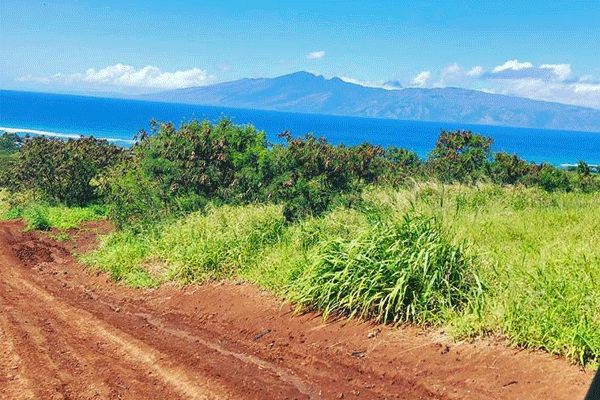 ATV-UTV Maui Off-Road Adventures Lahaina 5