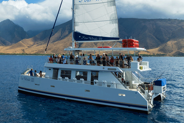 Whale Watching & Snorkel Tour with Four Winds III 1