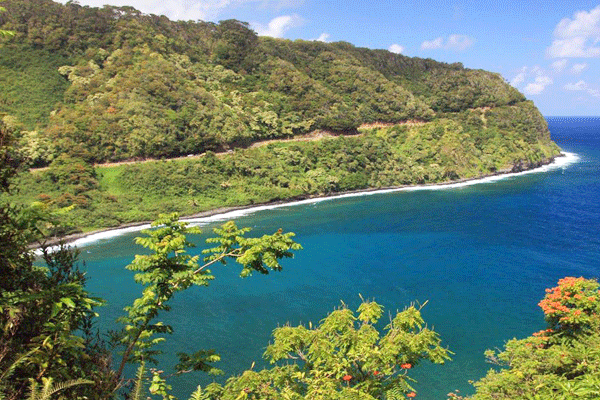 Aloha Eco Adventures Road to Hana 3