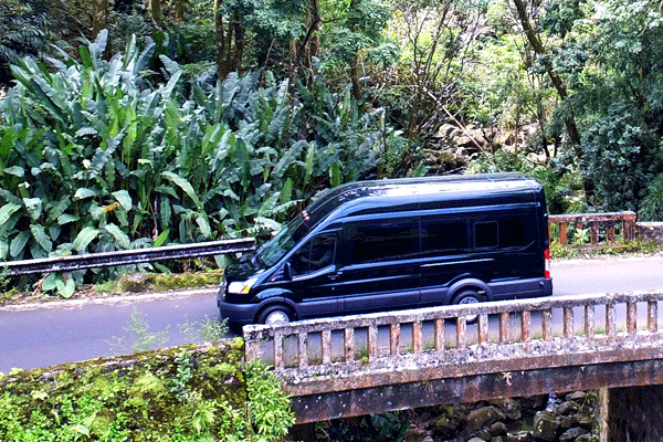 Hana Tours of Maui – Deluxe Road to Hana Tour 3