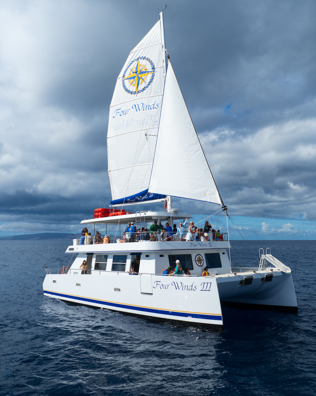 Whale Watching & Snorkel Tour with Four Winds III 4