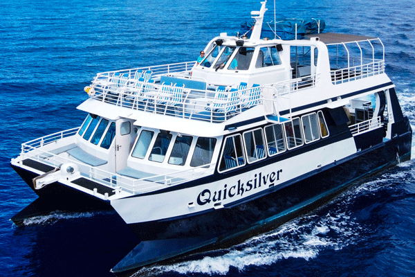Quicksilver Coral Gardens Morning Snorkeling Adventure 2