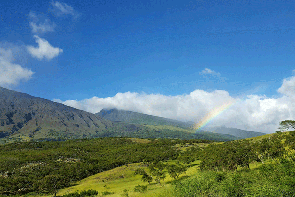 Hana Tours of Maui – Deluxe Road to Hana Tour 2