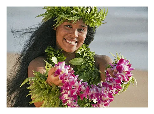 Airport Fresh Lei Greeting