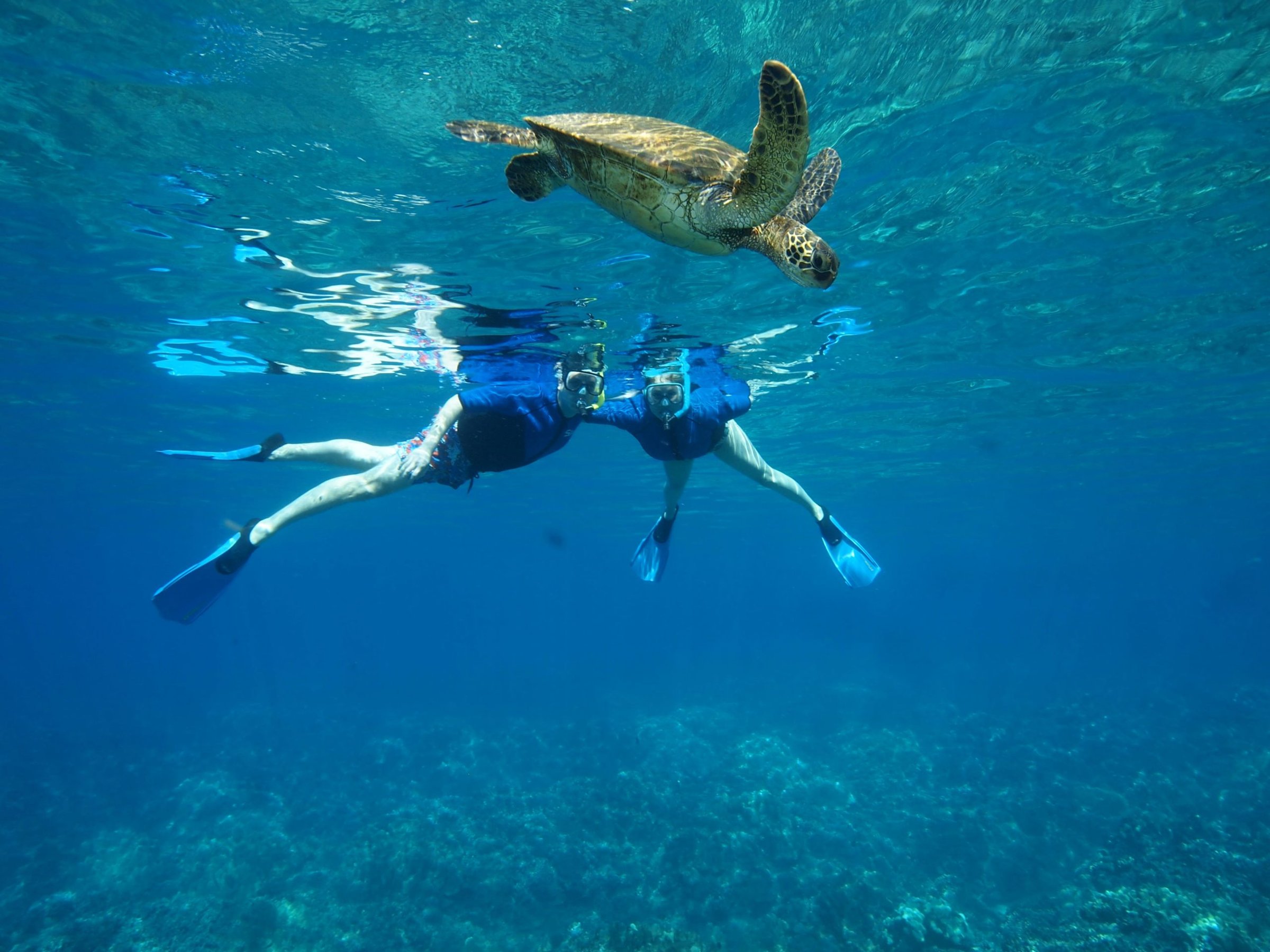 Maui Magic Molokini and Beyond 3
