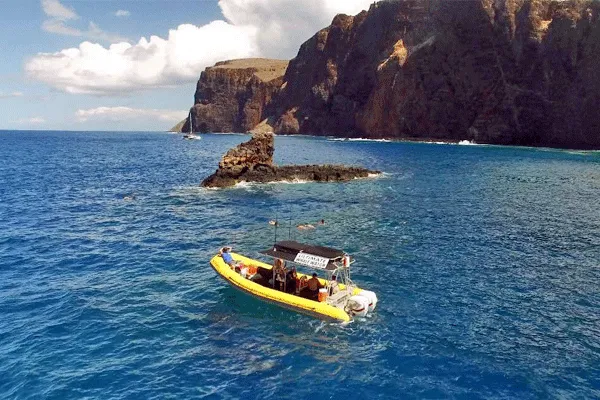 Lanai Snorkel & Dolphin Adventure by Ultimate Whale Watch (4Hrs)