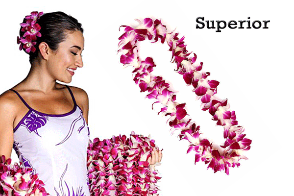 Airport Fresh Lei Greeting 5