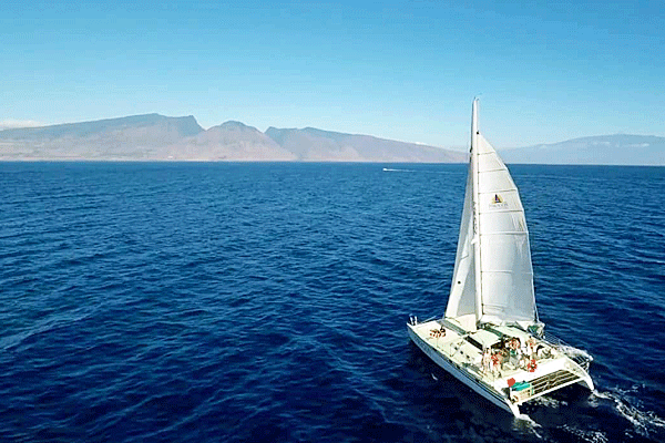 Deluxe Maui Snorkel Tours: Discover Molokini Crater with Sail Maui 2