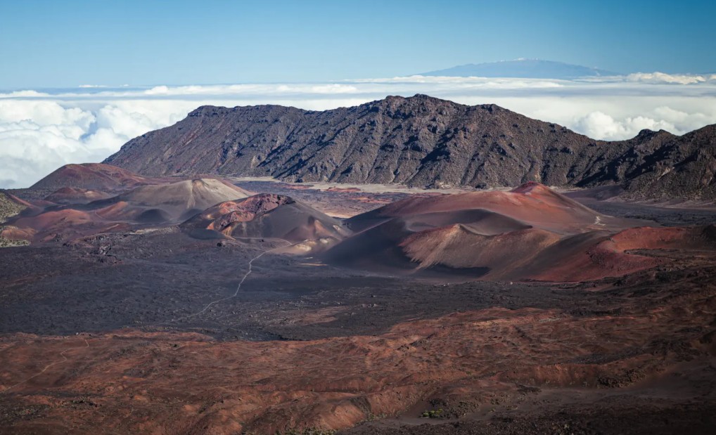 Exclusive Haleakala Crater and Half Way To Hana Tour by Aloha Eco Adventures 4