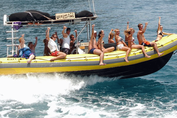 Ultimate Maui Snorkeling & Whales Combo – Lahaina (3.5 Hours) 1
