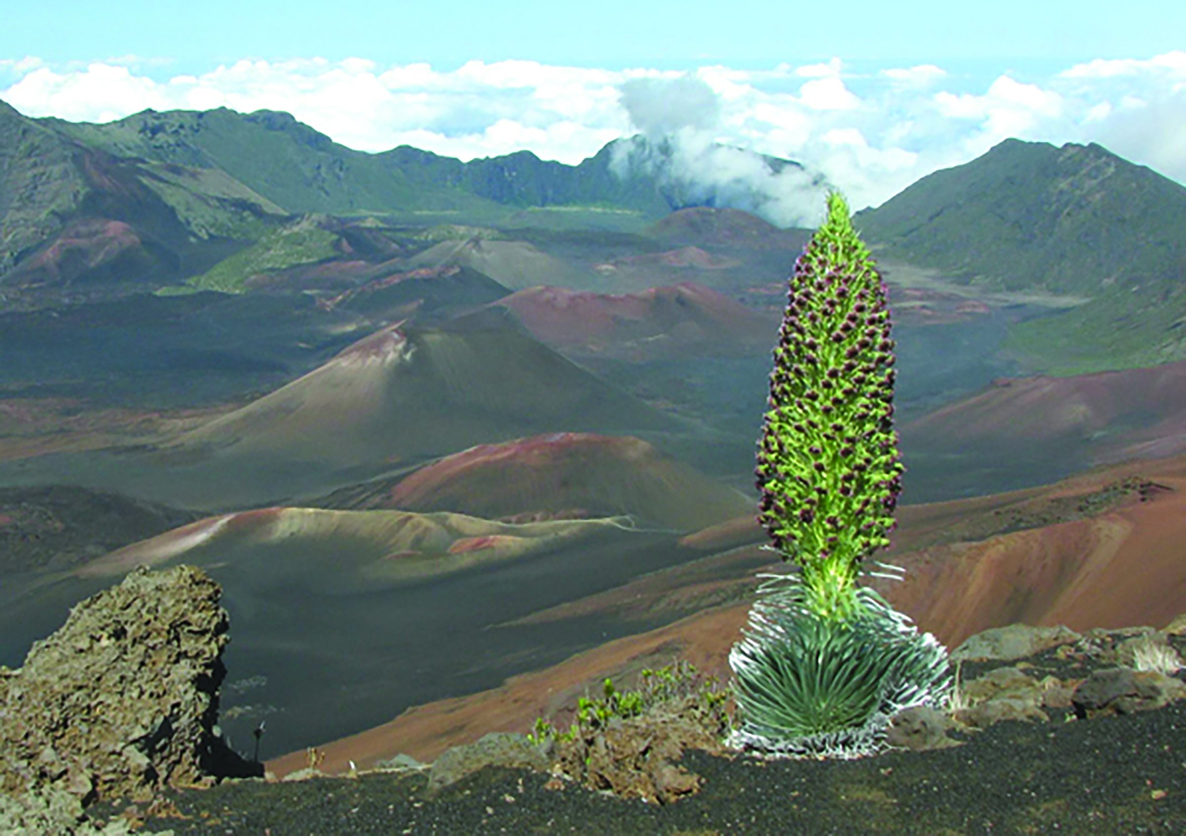 Haleakala Volcano Hiking Adventure 2
