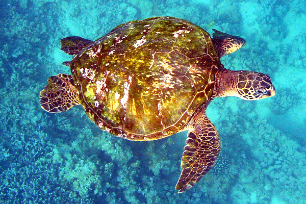 Hiking, Kayaking & Snorkeling Full Day Adventure 4