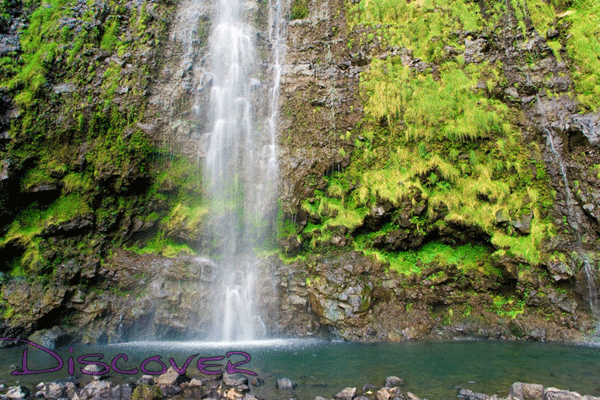 Aloha Sunshine Maui Hana Adventure 2